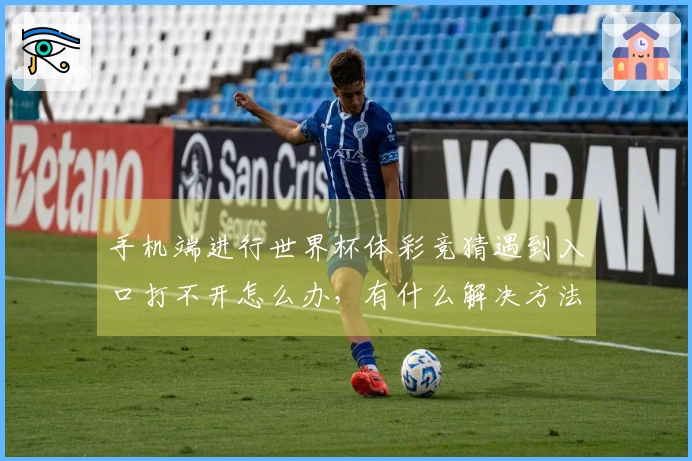 手机端进行世界杯体彩竞猜遇到入口打不开怎么办,有什么解决方法吗