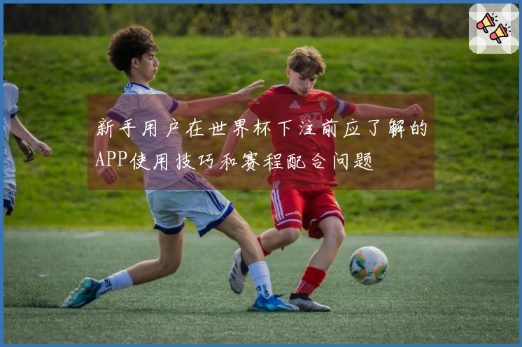 新手用户在世界杯下注前应了解的APP使用技巧和赛程配合问题